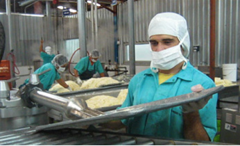 site de production de la Carica